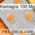 Kamagra100 Mg 24